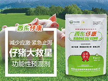 西東仔康