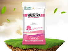 偉業(yè)云商
