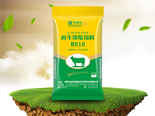 肉牛濃縮飼料（B818）