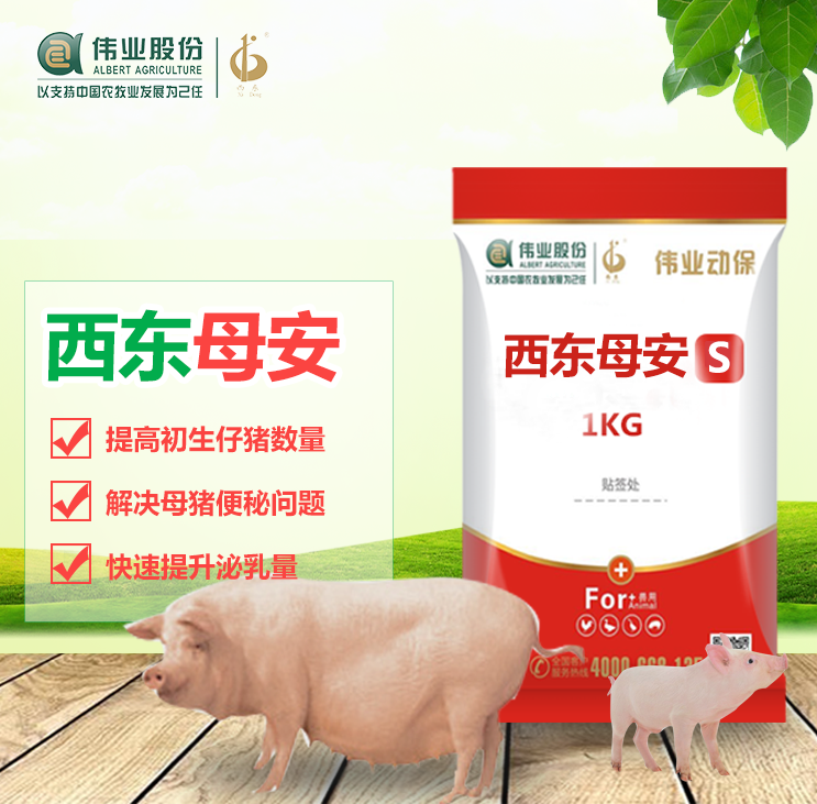 西東母安 S