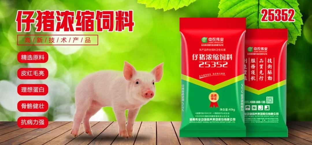 湖南偉業(yè)集團(tuán),偉業(yè)動(dòng)物,豬場(chǎng)管理,非常規(guī)飼料原料開(kāi)發(fā),飼料