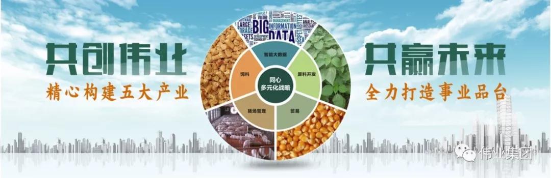 湖南偉業(yè)集團,偉業(yè)動物,豬場管理,非常規(guī)飼料原料開發(fā),飼料