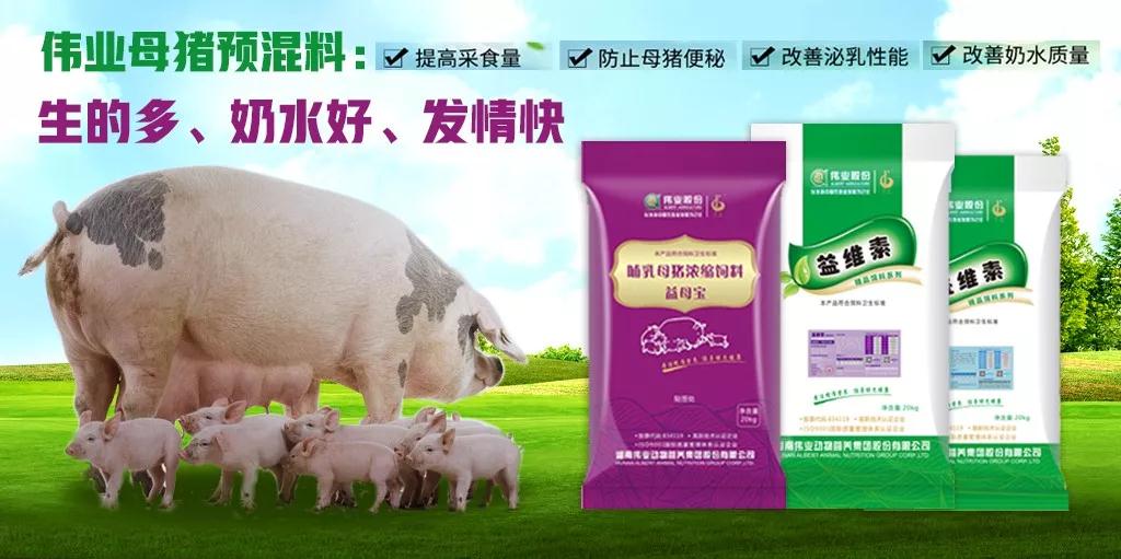 湖南偉業(yè)集團(tuán),偉業(yè)動(dòng)物,豬場(chǎng)管理,非常規(guī)飼料原料開發(fā),飼料