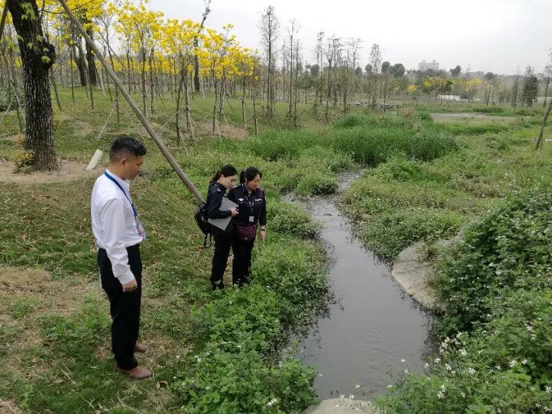 湖南偉業(yè)集團(tuán),偉業(yè)動(dòng)物,豬場(chǎng)管理,非常規(guī)飼料原料開發(fā),飼料