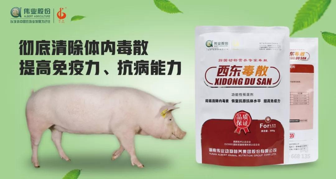 湖南偉業(yè)集團(tuán),偉業(yè)動物,豬場管理,非常規(guī)飼料原料開發(fā),飼料