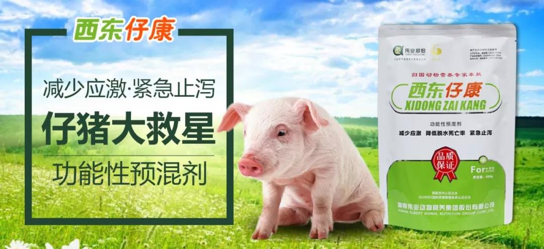 湖南偉業(yè)集團(tuán),偉業(yè)動(dòng)物,豬場(chǎng)管理,非常規(guī)飼料原料開(kāi)發(fā),飼料