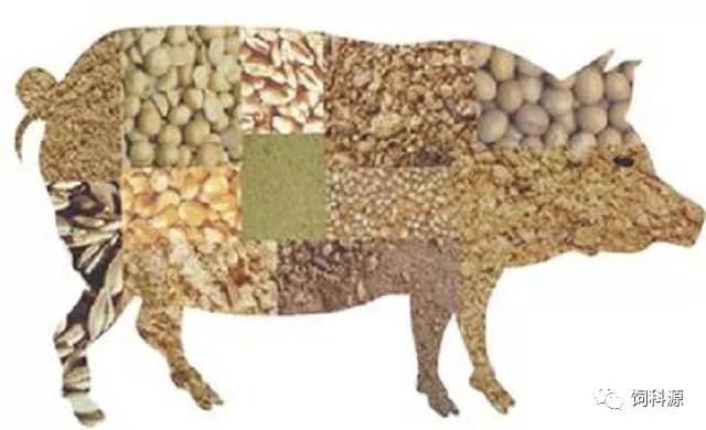 湖南偉業(yè)集團(tuán),偉業(yè)動物,豬場管理,非常規(guī)飼料原料開發(fā),飼料