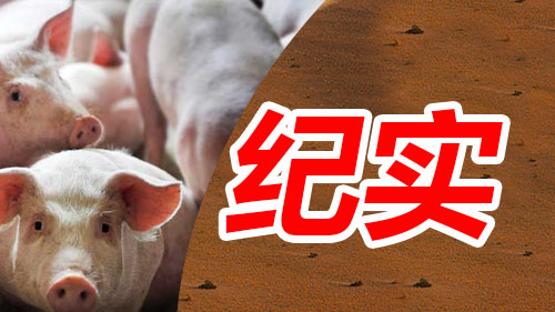 湖南偉業(yè)集團,偉業(yè)動物,豬場管理,非常規(guī)飼料原料開發(fā),飼料