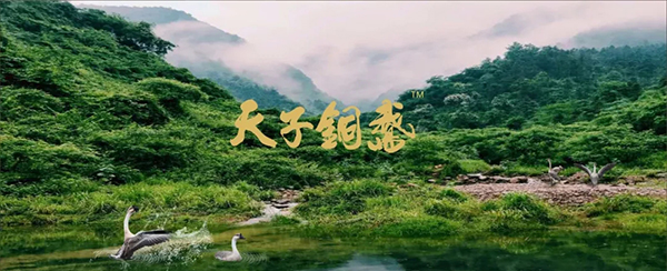 湖南偉業(yè)集團(tuán),偉業(yè)動(dòng)物,豬場(chǎng)管理,非常規(guī)飼料原料開發(fā),飼料