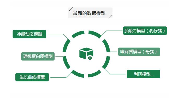 湖南偉業(yè)集團(tuán),偉業(yè)動(dòng)物,豬場管理,非常規(guī)飼料原料開發(fā),飼料