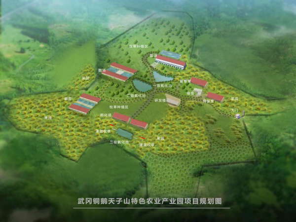 湖南偉業(yè)集團(tuán),偉業(yè)動物,豬場管理,非常規(guī)飼料原料開發(fā),飼料